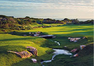 A green golf course with a stream running through it. AI generated content