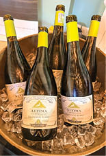 A bowl of ice filled with bottles of wine. AI generated content