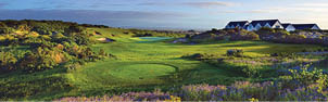 A green golf course with a large field of flowers. AI generated content